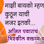 ajit pawar sunerta pawar NCP